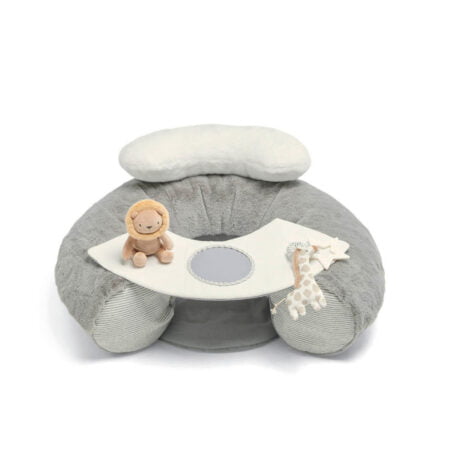 Welcome to the World Sit & Play Interactive Seat - Grey